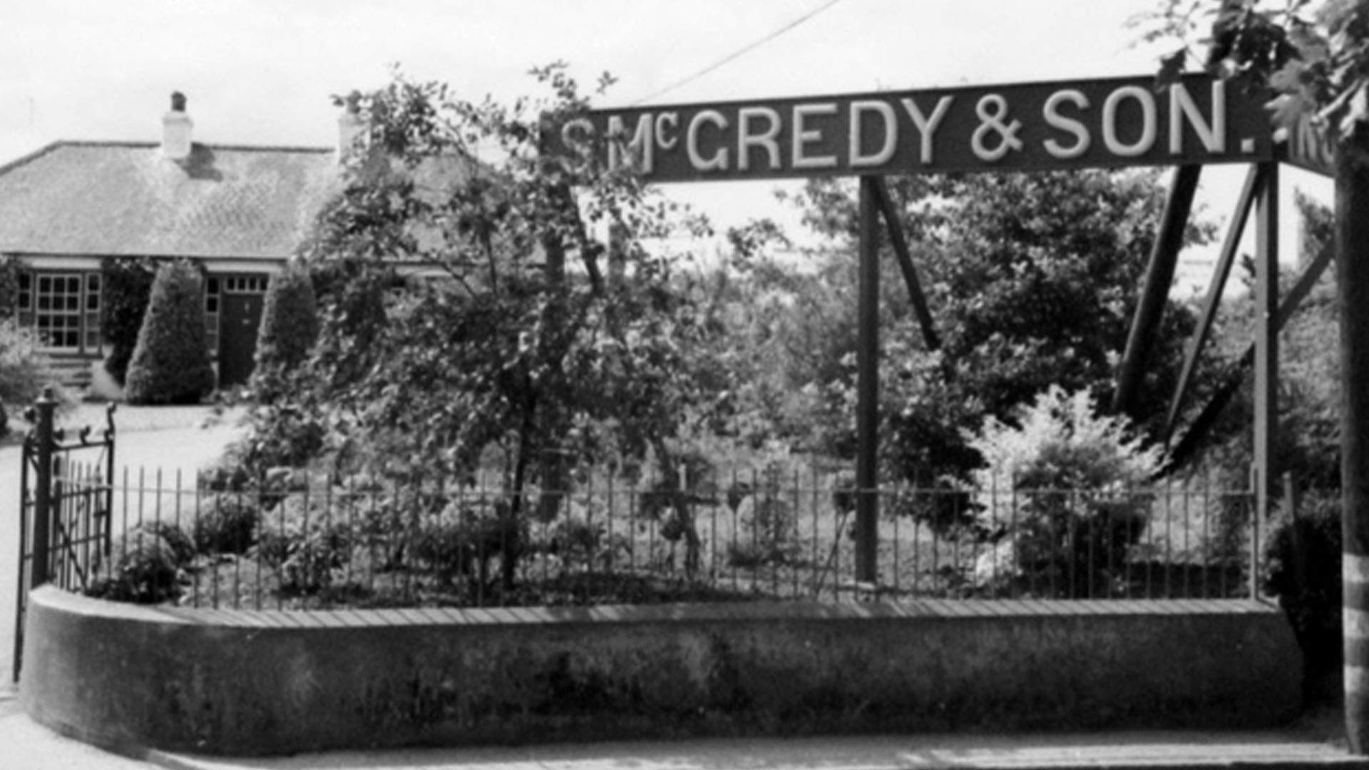 Mcgredy Roses Sam McGredy and Son Roses - WartimeNI