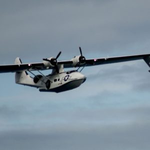 The unmistakable Catalina