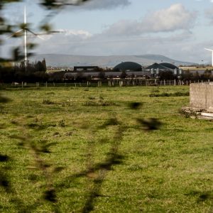 Cattle shed at Cluntoe Airfield, Co. Tyrone