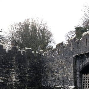 Remains at Tynan Abbey