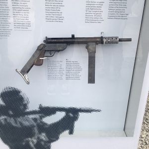 Polish Weapons on Display