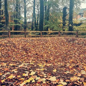 Bomb Crater at Stormont