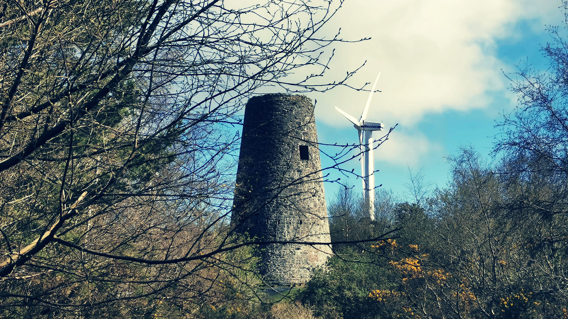 The old windmill at Whitespots Country Park